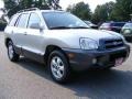 Smart Silver - Santa Fe GLS 4WD Photo No. 7