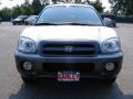 Smart Silver - Santa Fe GLS 4WD Photo No. 8