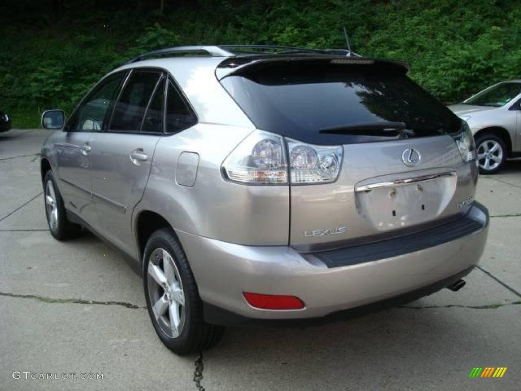 2005 RX 330 AWD Thundercloud Edition - Thunder Cloud Metallic / Light Gray photo #2