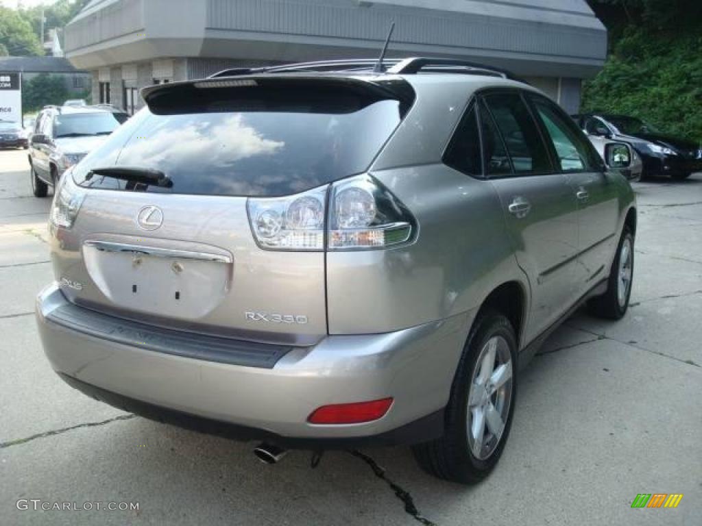 2005 RX 330 AWD Thundercloud Edition - Thunder Cloud Metallic / Light Gray photo #4