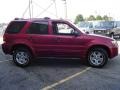 2007 Redfire Metallic Ford Escape XLT V6  photo #6