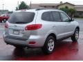 Bright Silver - Santa Fe GLS 4WD Photo No. 5