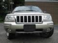 2004 Light Pewter Metallic Jeep Grand Cherokee Limited  photo #3