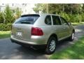 2004 Prosecco Metallic Porsche Cayenne Tiptronic  photo #6