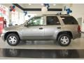 Graystone Metallic - TrailBlazer LS 4x4 Photo No. 3