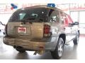 Graystone Metallic - TrailBlazer LS 4x4 Photo No. 7