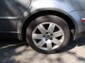 Silverstone Grey Metallic - Passat GLX 4Motion Sedan Photo No. 6