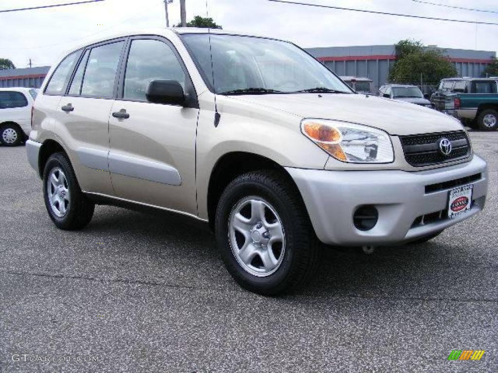 2005 RAV4  - Savannah Metallic / Taupe photo #1