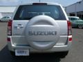 Quicksilver Metallic - Grand Vitara  Photo No. 5