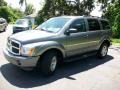 Mineral Gray Metallic - Durango SLT Photo No. 6