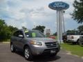 2007 Steel Gray Hyundai Santa Fe Limited  photo #1