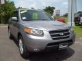 2007 Steel Gray Hyundai Santa Fe Limited  photo #9