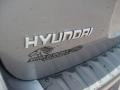 2007 Steel Gray Hyundai Santa Fe Limited  photo #10