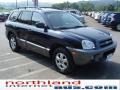 2005 Moonlit Blue Hyundai Santa Fe GLS 4WD  photo #4