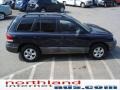 2005 Moonlit Blue Hyundai Santa Fe GLS 4WD  photo #5