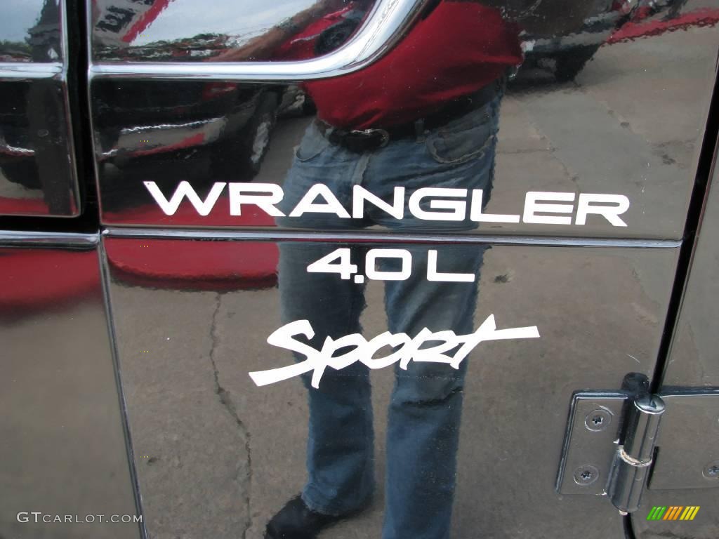 2001 Wrangler Sport 4x4 - Black / Agate Black photo #20