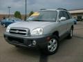 Pewter - Santa Fe GLS 3.5 4WD Photo No. 1
