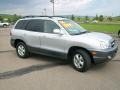Pewter - Santa Fe GLS 3.5 4WD Photo No. 4