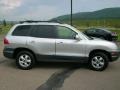 Pewter - Santa Fe GLS 3.5 4WD Photo No. 5