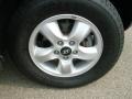 Pewter - Santa Fe GLS 3.5 4WD Photo No. 6