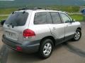 Pewter - Santa Fe GLS 3.5 4WD Photo No. 13