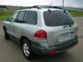 Pewter - Santa Fe GLS 3.5 4WD Photo No. 19