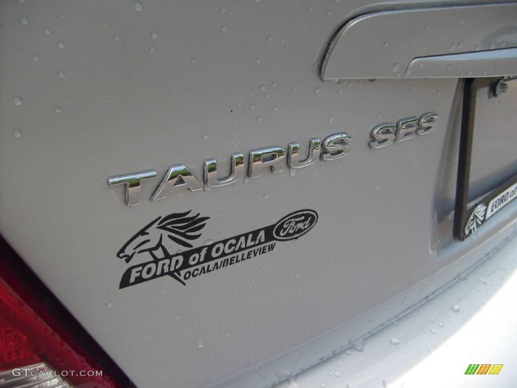 2004 Taurus SES Sedan - Silver Frost Metallic / Dark Charcoal photo #10