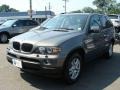 Stratus Grey Metallic - X5 3.0i Photo No. 4