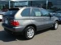 2006 Stratus Grey Metallic BMW X5 3.0i  photo #8