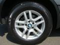 Stratus Grey Metallic - X5 3.0i Photo No. 23