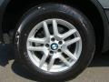 2006 Stratus Grey Metallic BMW X5 3.0i  photo #23