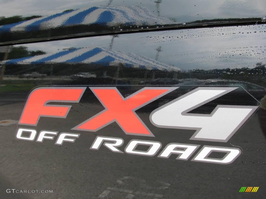 2006 F150 FX4 SuperCrew 4x4 - Black / Black photo #13