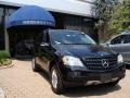 Black - ML 350 4Matic Photo No. 3