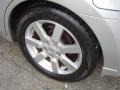 Liquid Silver Metallic - Maxima 3.5 SL Photo No. 25