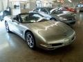 Light Pewter Metallic - Corvette Convertible Photo No. 3