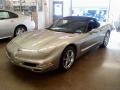 Light Pewter Metallic - Corvette Convertible Photo No. 17