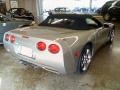 Light Pewter Metallic - Corvette Convertible Photo No. 18