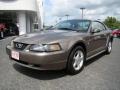2001 Mineral Grey Metallic Ford Mustang V6 Coupe  photo #6