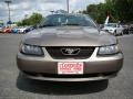 2001 Mineral Grey Metallic Ford Mustang V6 Coupe  photo #7