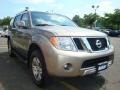 2008 Desert Stone Nissan Pathfinder LE V8 4x4  photo #13