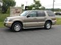 Mineral Gray Metallic - Mountaineer V8 AWD Photo No. 1