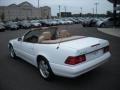Glacier White - SL 500 Roadster Photo No. 3