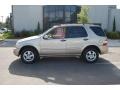 2004 Desert Silver Metallic Mercedes-Benz ML 350 4Matic  photo #2