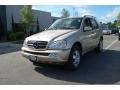 Desert Silver Metallic - ML 350 4Matic Photo No. 12