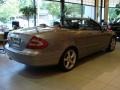 Pewter Metallic - CLK 320 Cabriolet Photo No. 6