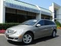 2007 Pewter Metallic Mercedes-Benz R 500 4Matic  photo #1