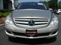 Pewter Metallic - R 500 4Matic Photo No. 2