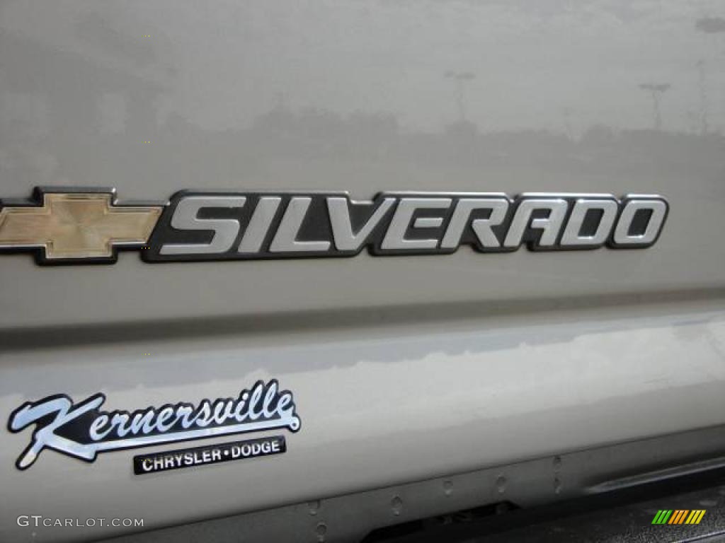 2005 Silverado 1500 LS Extended Cab - Silver Birch Metallic / Medium Gray photo #13
