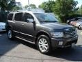 Silver Graphite Gray - QX 56 4WD Photo No. 3