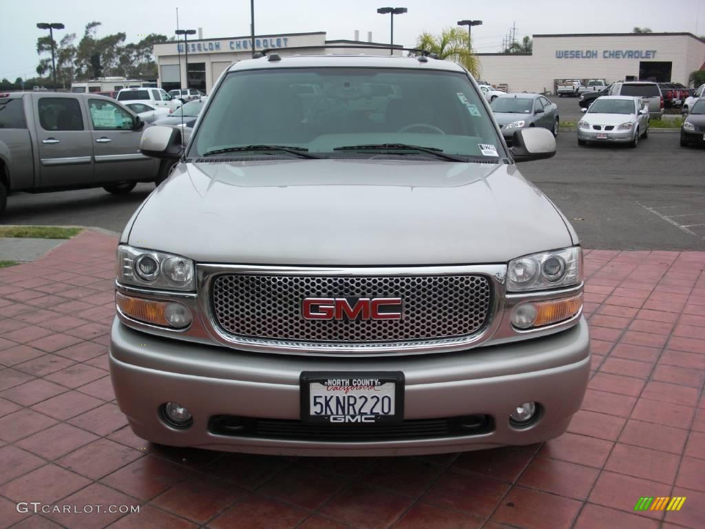 2004 Yukon Denali AWD - Silver Birch Metallic / Stone Gray photo #9